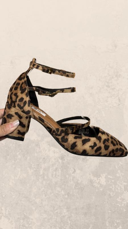 ZAPATO ANIMAL PRINT